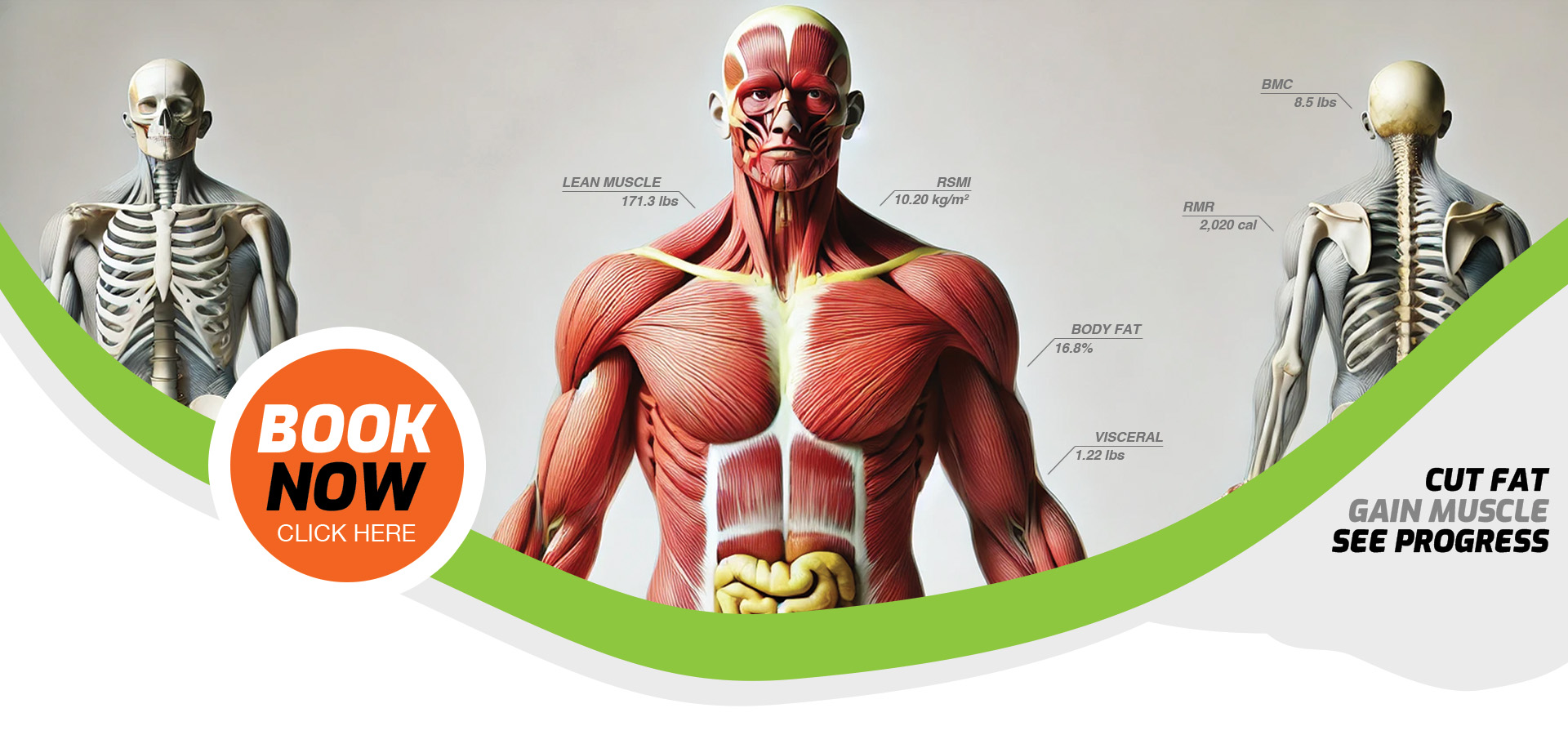 Know your body with DEXA scan